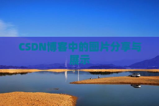CSDN博客中的图片分享与展示